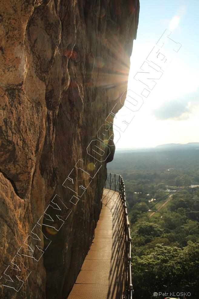 Detail - Sri Lanka 2015 � Sygiryia, pohled shora