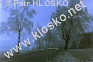 Drkov komora - fotky XV  Zimn cesta