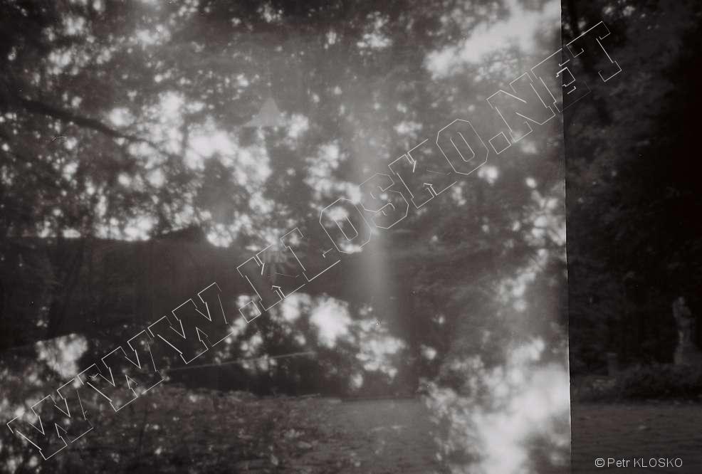 Detail - D�rkov� komora - fotky XXI - Les a kaple v lese