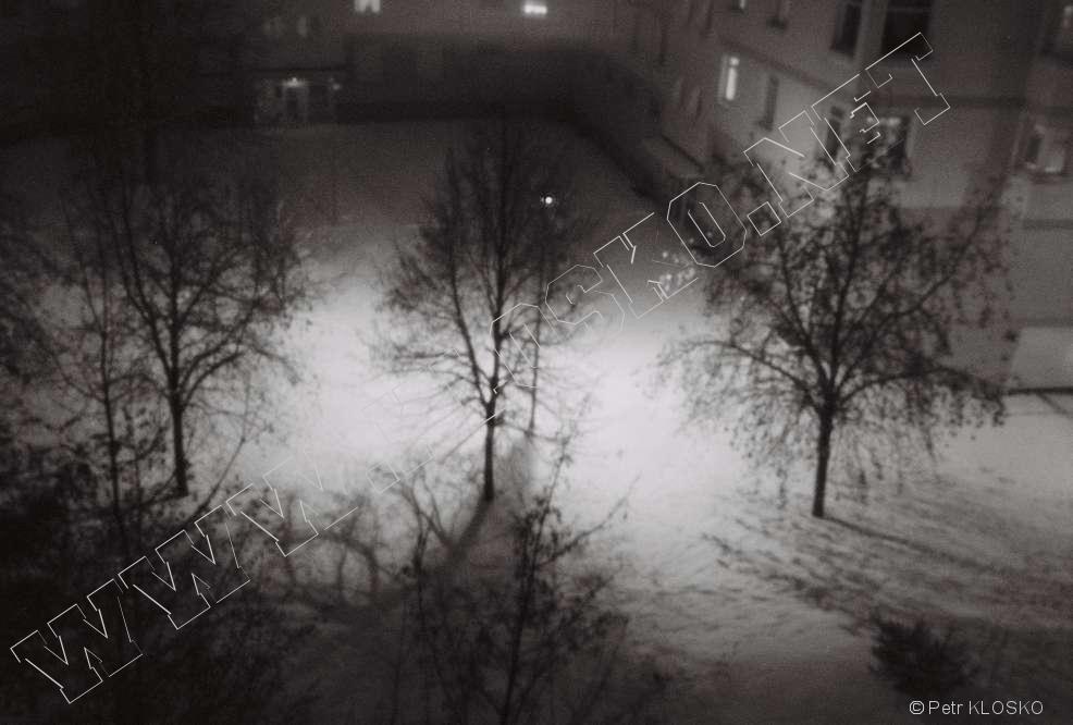 Detail - D�rkov� komora - fotky XXI - No�n� s�dli�t� v zim�