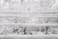 Drkov komora - fotky XXIII  Snow Lines