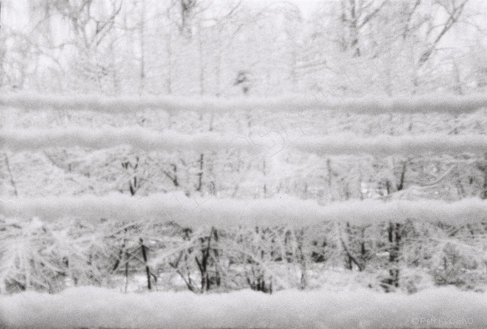 Detail - D�rkov� komora - fotky XXIII � Snow Lines