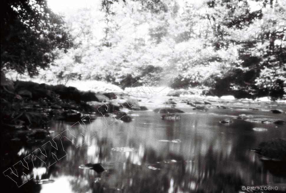 Detail - D�rkov� komora - fotky XXIV - Orlice