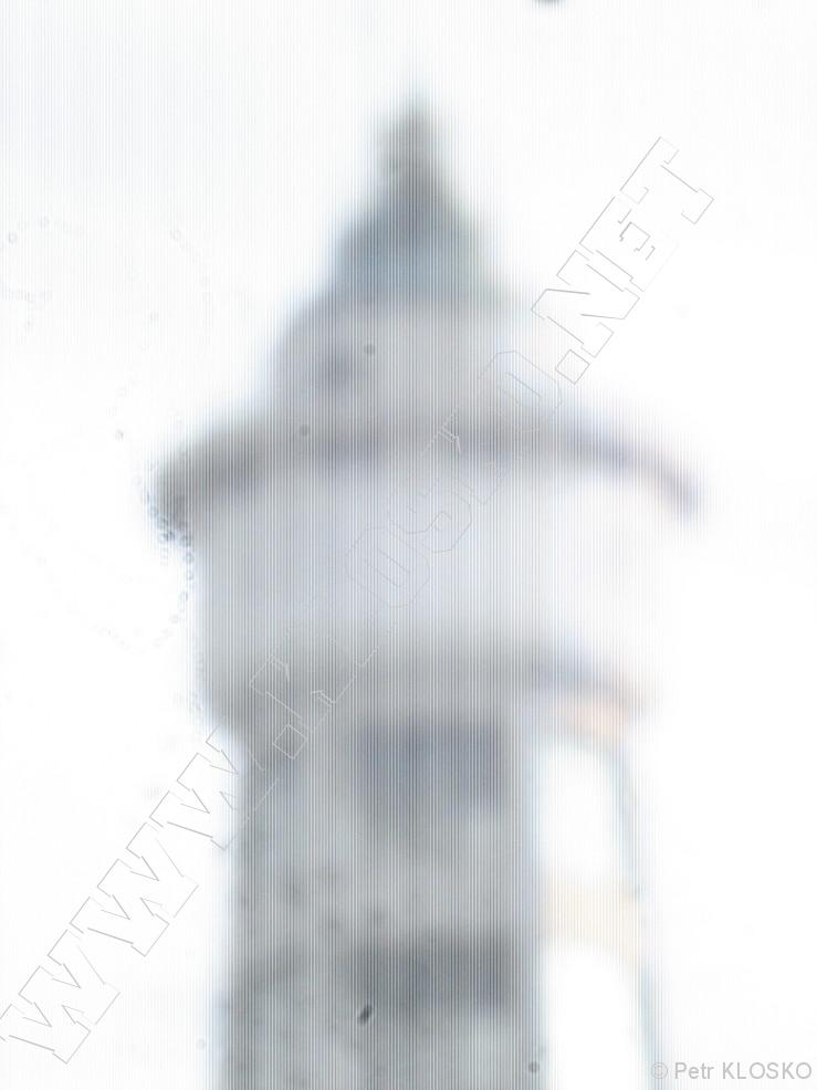 Detail - Sv�tov� den d�rkov� fotografie 2014 - Vod�rensk� v�/maj�k 5