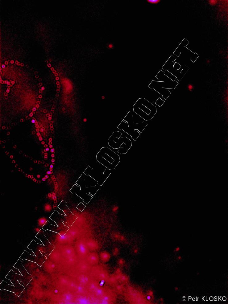Detail - Sv�tov� den d�rkov� fotografie 2014 - Vod�rensk� v�/maj�k 7