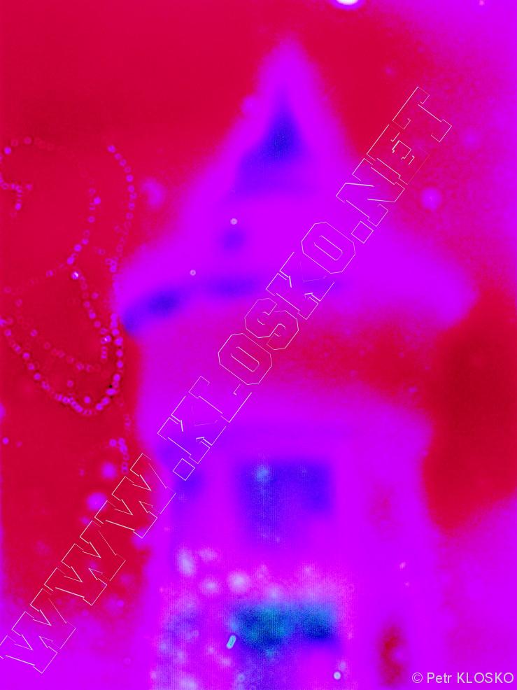 Detail - Sv�tov� den d�rkov� fotografie 2014 - Vod�rensk� v�/maj�k 10