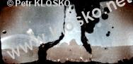 �esk� T��n, Svibice
