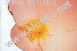Světový den dírkové fotografie 2016 Světový den dírkové fotografie 2016
